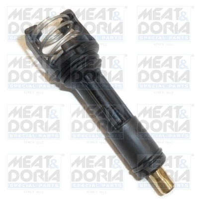 Thermostat, coolant